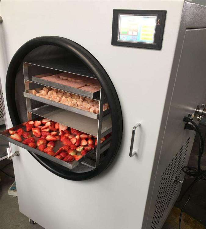 Commercial Industrial Mini Fre - Commercial Food Dehydrator บทวิจารณ์และราคา